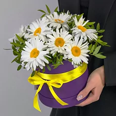 9 Крупных Ромашек в коробке