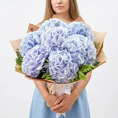 7 Небесных Гортензий