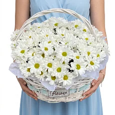 Снежные Хризантемы в Корзине
