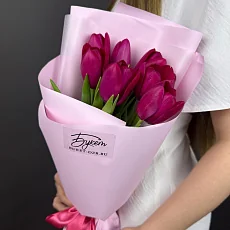 7 Малиновых Тюльпанов в упаковке 