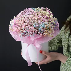 Гипсофила радужная в коробке 