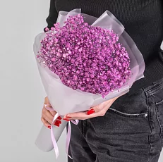 7 Фиолетовых Гипсофил