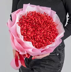 9 Красных Гипсофил