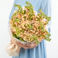 19 Кремовых Маттиол в упаковке