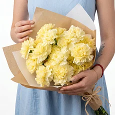 17 Желто-Зеленых Гвоздик