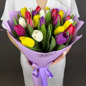 25 Разноцветных тюльпанов