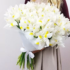 51 Белый Ирис в упаковке 