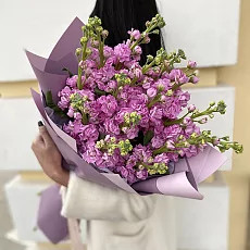 Букет из 15 маттиол