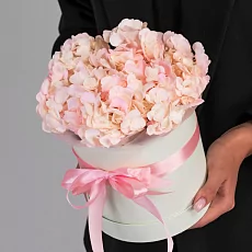  1 Розовая Гортензия в коробке