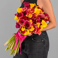 51 Калла Микс под 