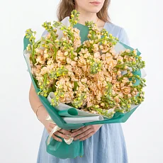 25 Кремовых Маттиол в упаковке