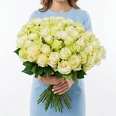 51 Элитной роза Mondial (Эквадор)