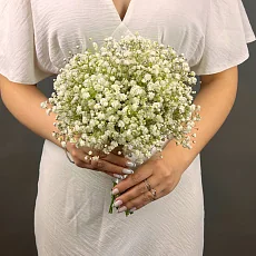 Белая гипсофила для невесты