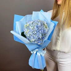 Голубая гортензия