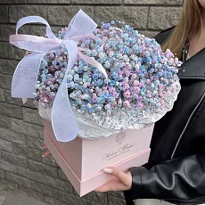 Радужная гипсофила в коробке