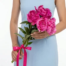 5 Малиновых Пионов