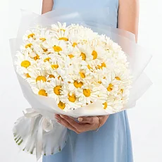 85 Крупных Ромашек