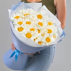 27 Крупных Ромашек в упаковке