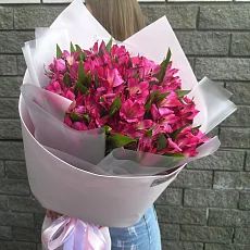 Малиновые альстромерии
