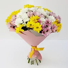 15 Весенних Хризантем в упаковке 