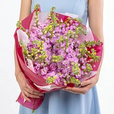 25 Розовых Маттиол в упаковке