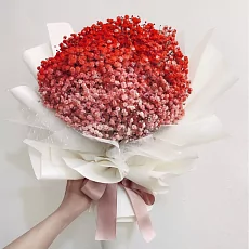 15 Красных Гипсофил