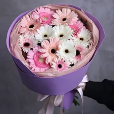 13 Разноцветных Гербер