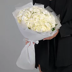 5 Белых Гортензий 