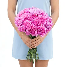 31 гвоздика под ленту