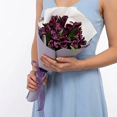 5 Фиолетовых Альстромерий