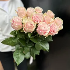 11 Светло-Розовых роз
