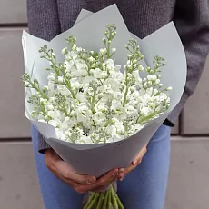 Букет "15 Белых Маттиол"