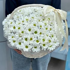 29 Хризантем в Корзине