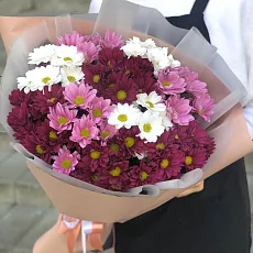 Букет "11 Разноцветных Кустовых Хризантем"