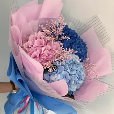 3 Гортензий Микс