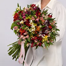 51 Альстромерия Микс