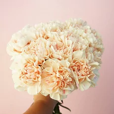 17 Гвоздик Apple Tea