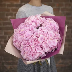 7 Розовых Гортензий