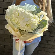 Букет живых цветов из гортензии с эвкалиптом