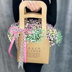 Гипсофила радужная в стильной сумке 