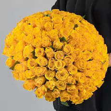 151 Желтая Роза