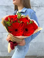 Букет живых цветов из 7 Красных гербер с зеленью в дизайнерской упаковке