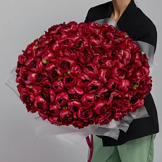 101 Красный Пион в упаковке