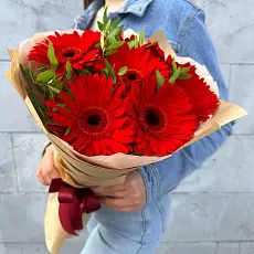 Букет живых цветов из 7 Красных гербер с зеленью в дизайнерской упаковке