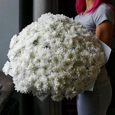 31 Кустовая Хризантема