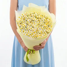 13 Кустовых Ромашек в упаковке