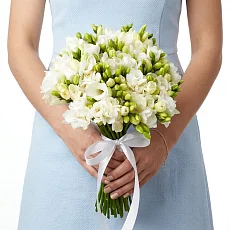 41 Белая Фрезия