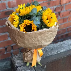 7 Подсолнухов с эвкалиптом в крафте 