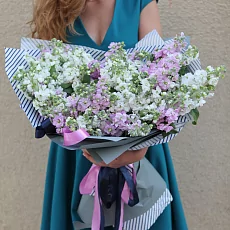 27 Разноцветных Маттиол в упаковке 