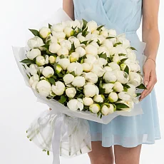 51 Белый Пион в упаковке